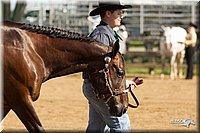 4H-2nd-Show-11_0954.jpg