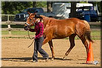 4H-2nd-Show-11_0955.jpg