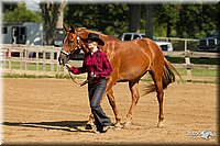 4H-2nd-Show-11_0956.jpg