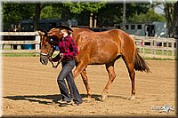 4H-2nd-Show-11_0958.jpg