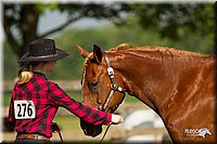 4H-2nd-Show-11_0961.jpg