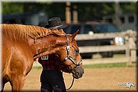 4H-2nd-Show-11_0962.jpg