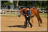 4H-2nd-Show-11_0964.jpg