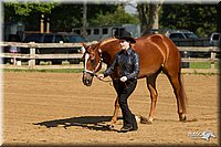 4H-2nd-Show-11_0965.jpg