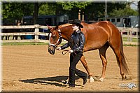 4H-2nd-Show-11_0966.jpg