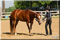 4H-2nd-Show-11_0967.jpg