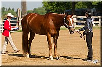 4H-2nd-Show-11_0968.jpg