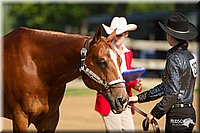 4H-2nd-Show-11_0970.jpg