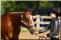 4H-2nd-Show-11_0972.jpg