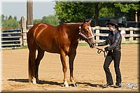 4H-2nd-Show-11_0973.jpg