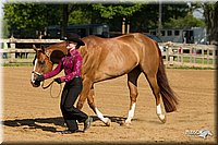 4H-2nd-Show-11_0978.jpg