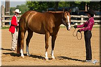 4H-2nd-Show-11_0981.jpg