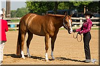 4H-2nd-Show-11_0982.jpg