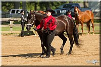 4H-2nd-Show-11_0985.jpg