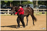 4H-2nd-Show-11_0987.jpg