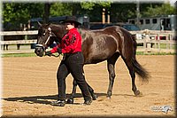 4H-2nd-Show-11_0988.jpg