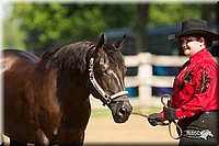 4H-2nd-Show-11_0991.jpg