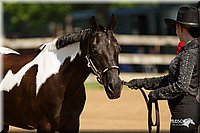 4H-2nd-Show-11_1001.jpg