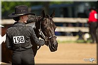 4H-2nd-Show-11_1002.jpg