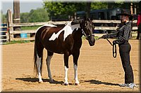 4H-2nd-Show-11_1003.jpg