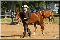 4H-2nd-Show-11_1006.jpg