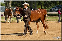 4H-2nd-Show-11_1007.jpg