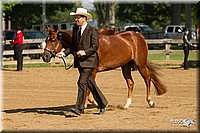 4H-2nd-Show-11_1008.jpg