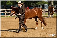 4H-2nd-Show-11_1009.jpg