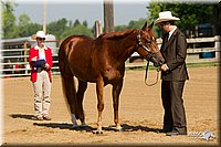 4H-2nd-Show-11_1011.jpg