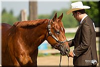 4H-2nd-Show-11_1012.jpg