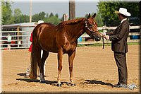 4H-2nd-Show-11_1013.jpg