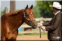 4H-2nd-Show-11_1014.jpg