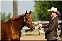 4H-2nd-Show-11_1016.jpg