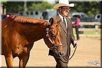 4H-2nd-Show-11_1017.jpg