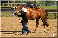 4H-2nd-Show-11_1024.jpg