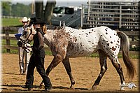 4H-2nd-Show-11_1027.jpg