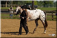 4H-2nd-Show-11_1028.jpg