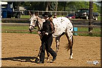 4H-2nd-Show-11_1029.jpg