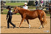 4H-2nd-Show-11_1037.jpg