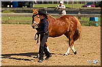 4H-2nd-Show-11_1038.jpg