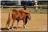 4H-2nd-Show-11_1041.jpg