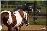 4H-2nd-Show-11_1048.jpg