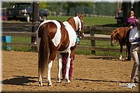 4H-2nd-Show-11_1051.jpg