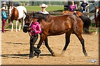 4H-2nd-Show-11_1057.jpg