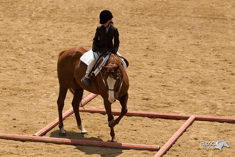 4H-2nd-Show-11_1465.jpg