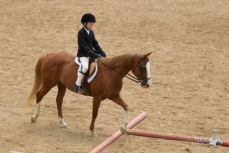 4H-2nd-Show-11_1497.jpg