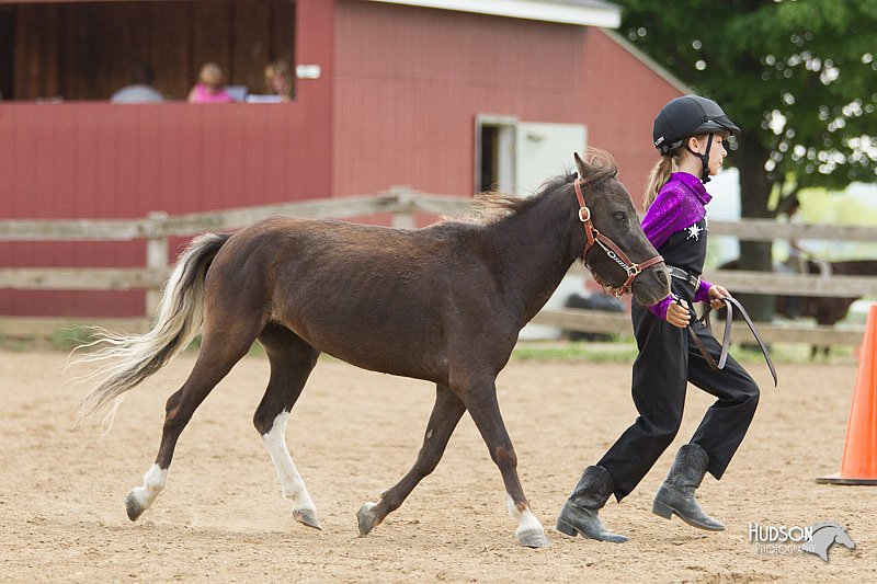 4H-2nd-Show-11_1587.jpg