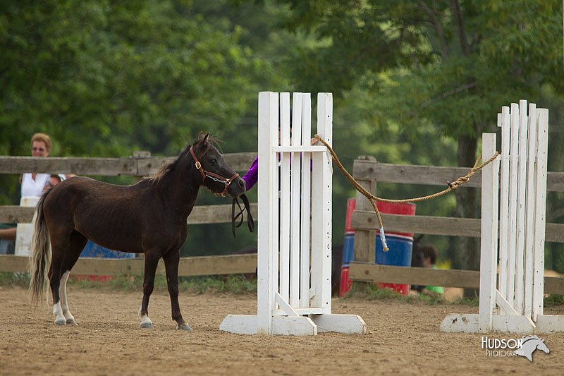 4H-2nd-Show-11_1591.jpg
