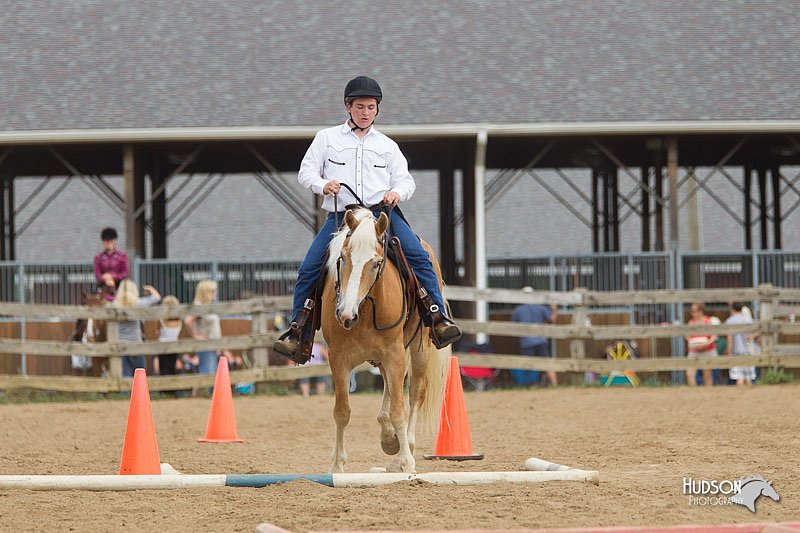 4H-2nd-Show-11_1600.jpg