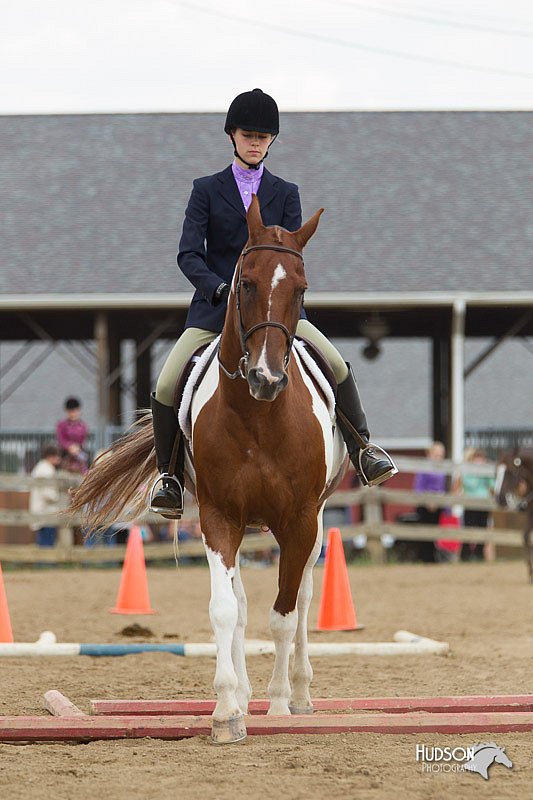 4H-2nd-Show-11_1618.jpg